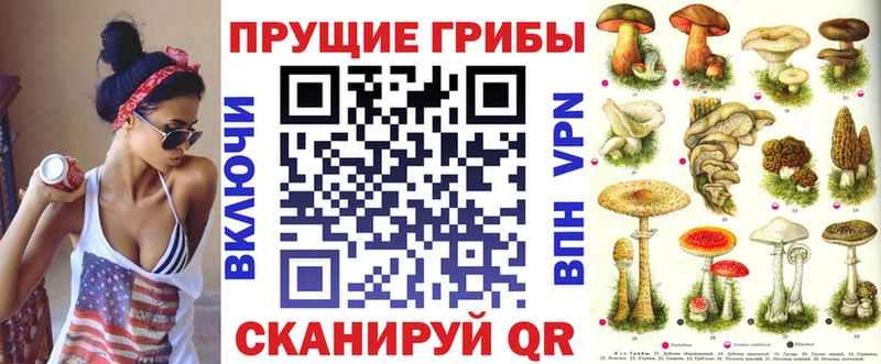Галлюциногенные грибы Psilocybine cubensis  kraken как зайти  Нальчик 