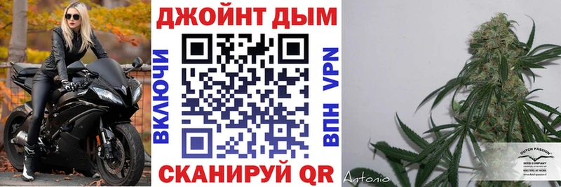 kraken ССЫЛКА  Нальчик  Бошки марихуана OG Kush 